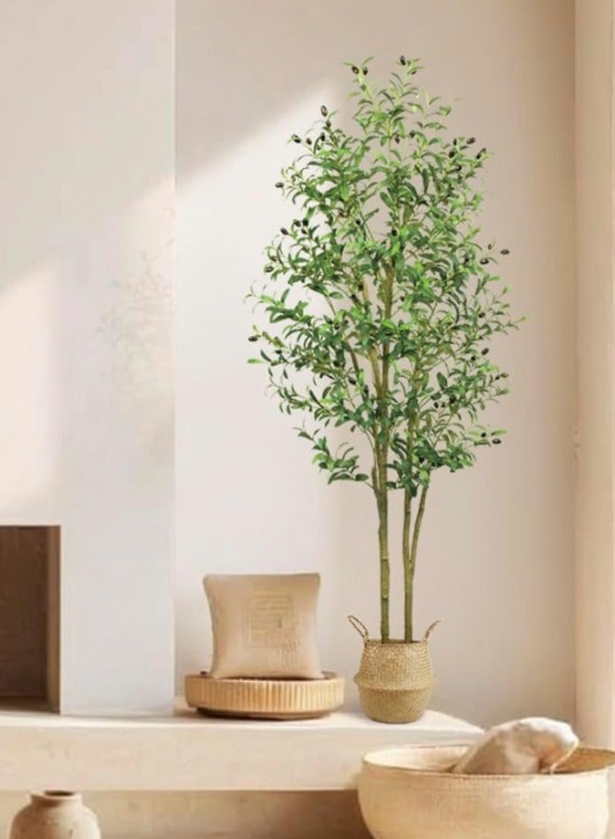 **نبات زيتون اصطناعي في أصيص - شجرة حريرية بطول 6 أقدام (180 سم)، نبات مزيف مثالي في أصيص مع سلة من القش، لتزيين المنزل/المكتب/الحديقة الحديث داخليًا/خارجيًا وهدية لاستقبال المنزل الجديد** - Image 5